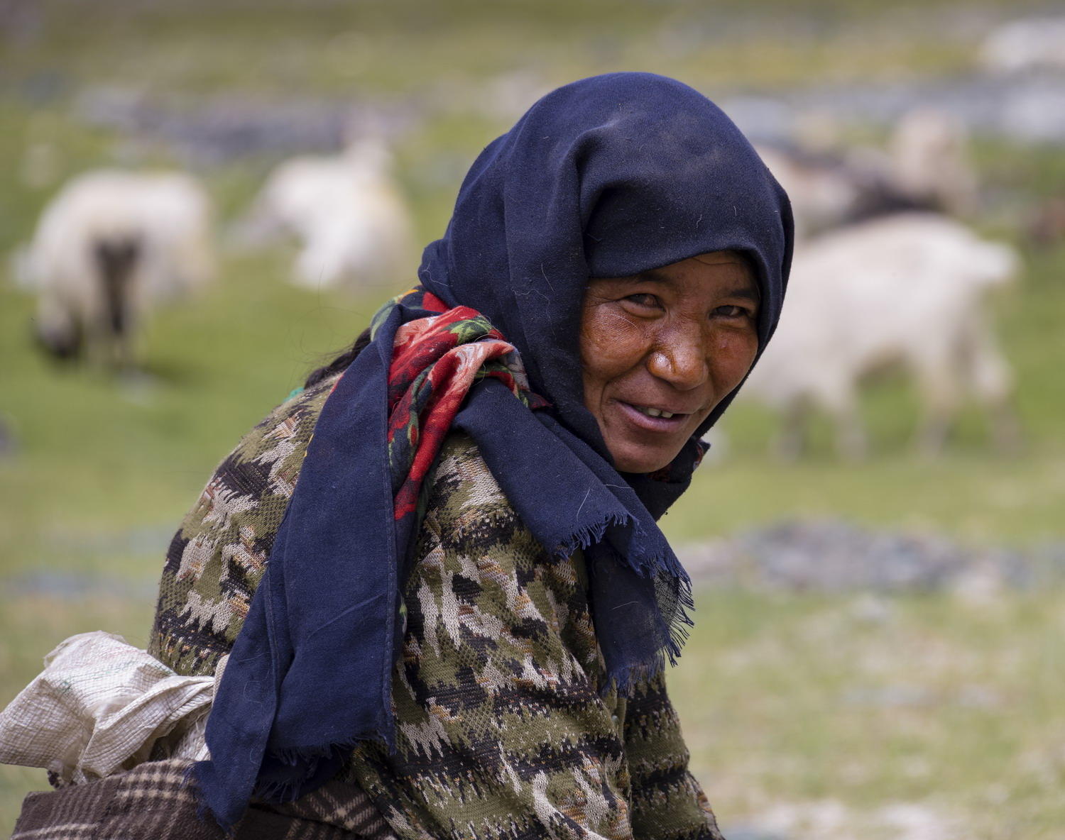 DSC_8238_1A2 - Goat Herder