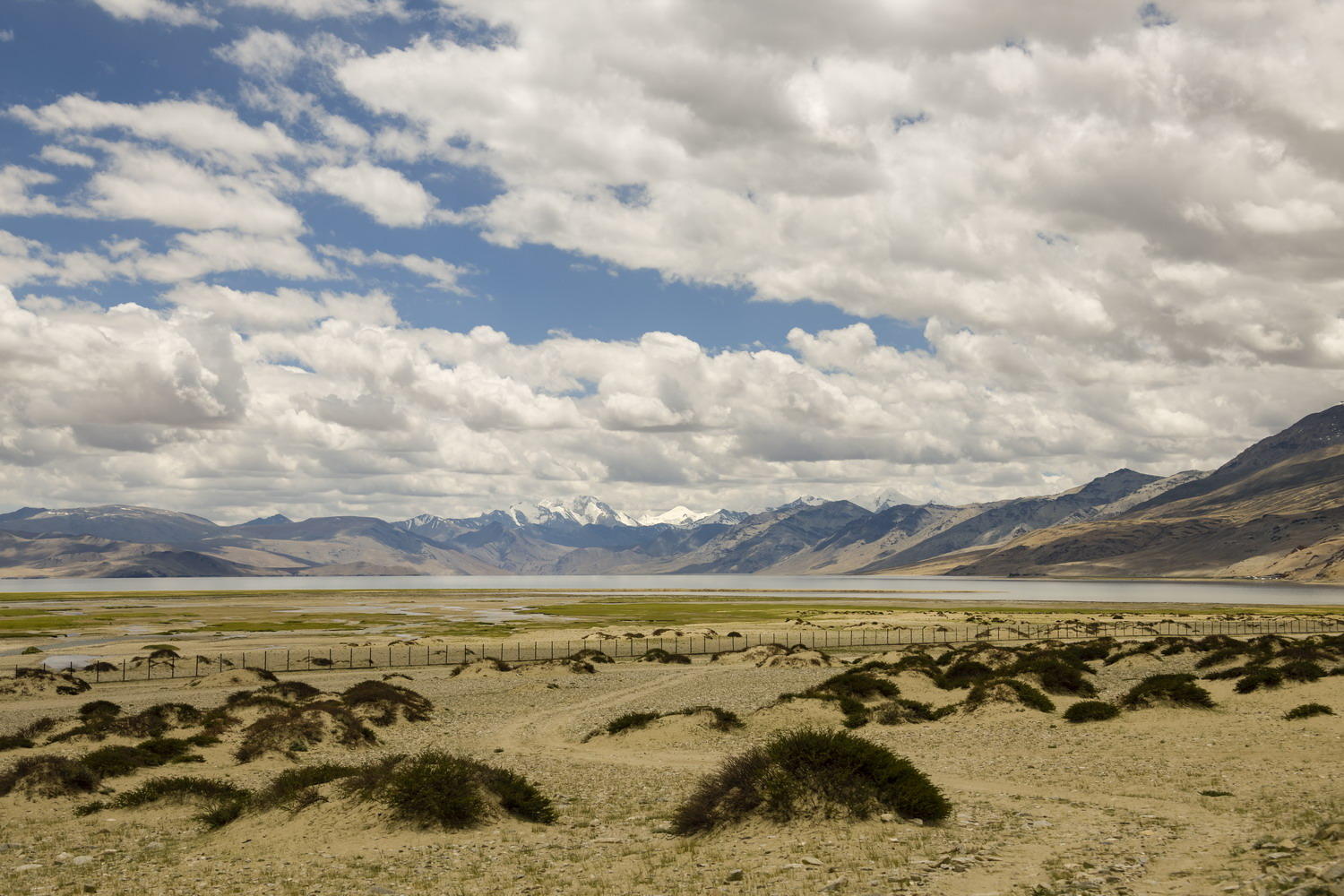 DSC_8389_1A2 - Tso Moriri Lake