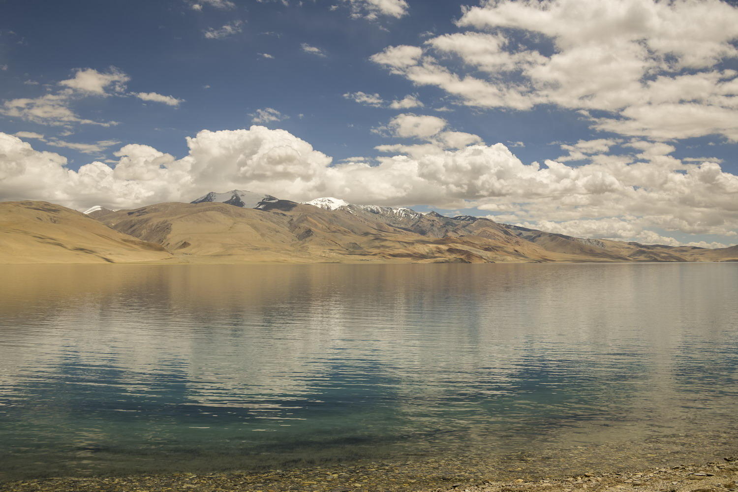 DSC_8423_1A2 - Reflections (Tso Moriri Lake)