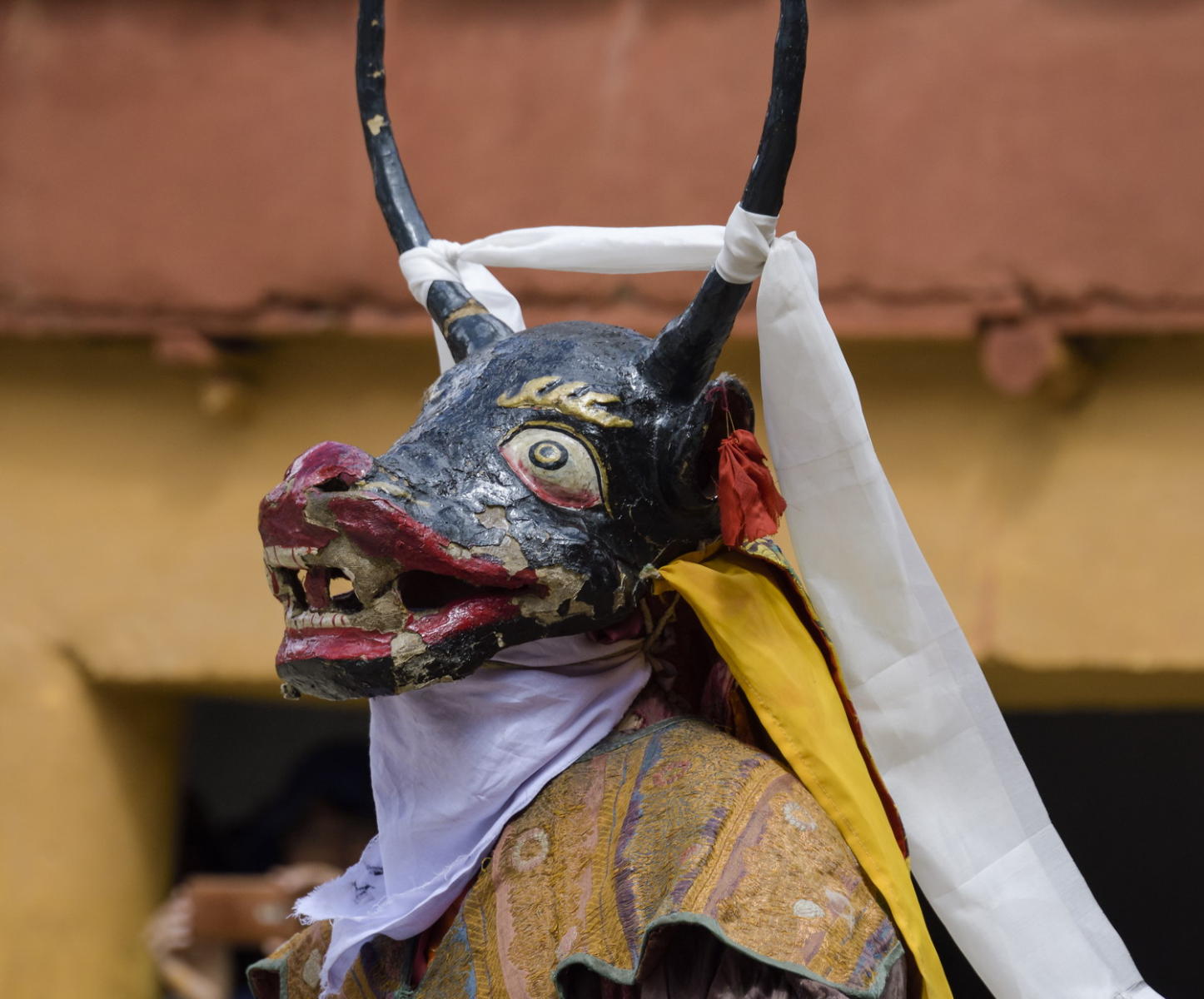 DSC_8658_1A1 - Masked Dancer (Korzok Gustor Festival)