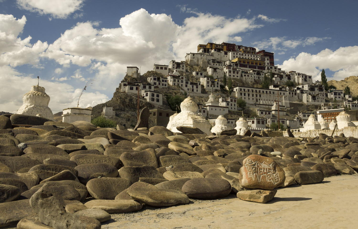 DSC_10809_1A2 - Thiksay Monastery (Leh)