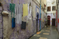 © 2024 Gerald E Bowers. All rights reserved.