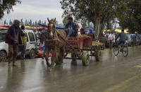 © 2024 Gerald E Bowers. All rights reserved.