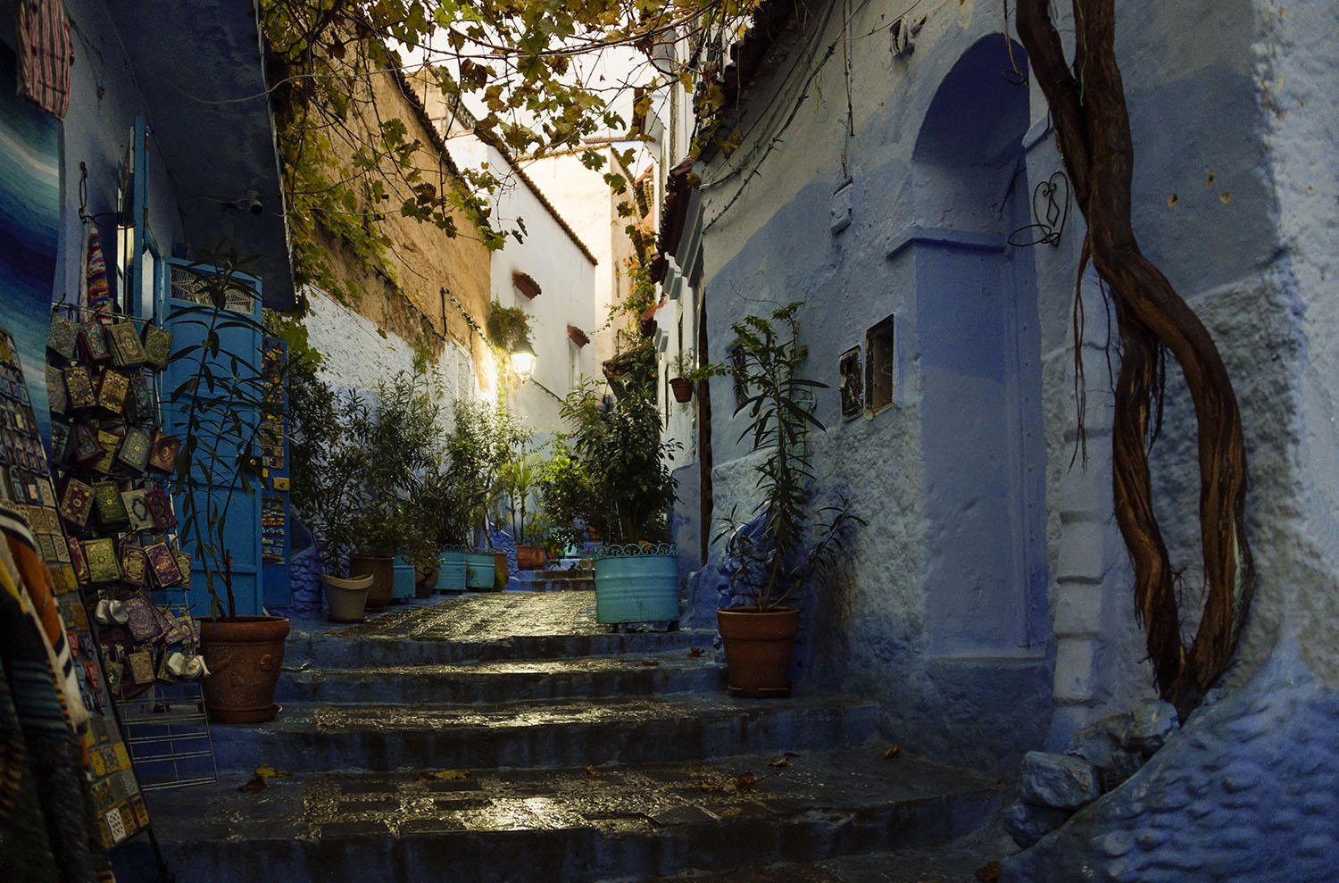 DSC_7400_1A2 - Chefchaouen