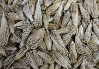 © 2024 Gerald E Bowers. All rights reserved.