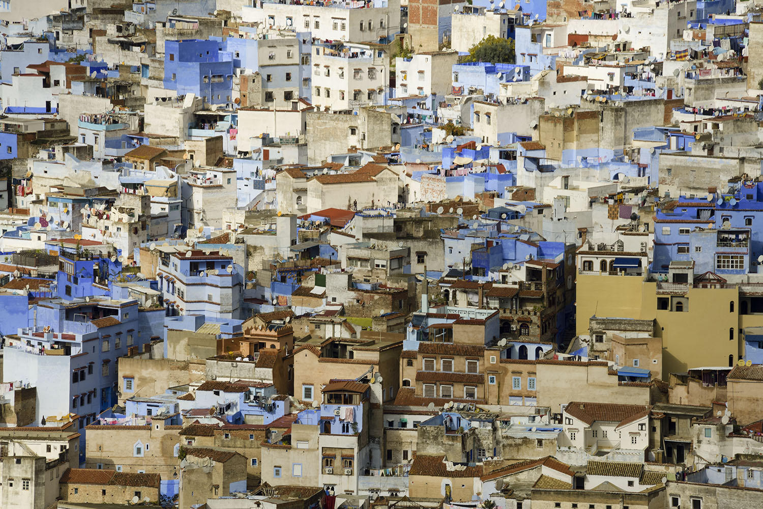 DSC_8281_1A1 - Rooftops (Chefchaouen)