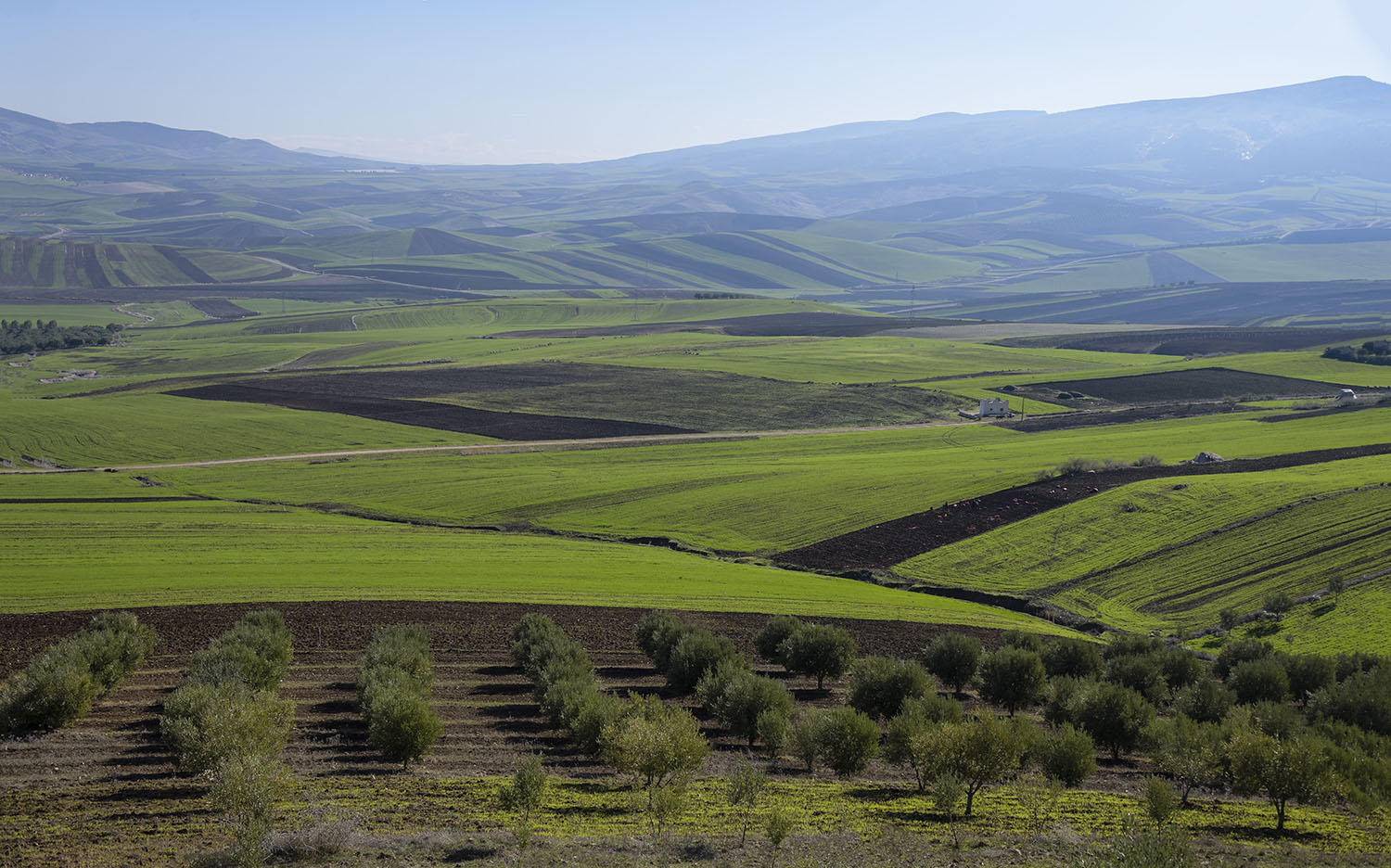 DSC_8513_1A2 - Farmlands Along Route N13