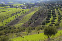 © 2024 Gerald E Bowers. All rights reserved.