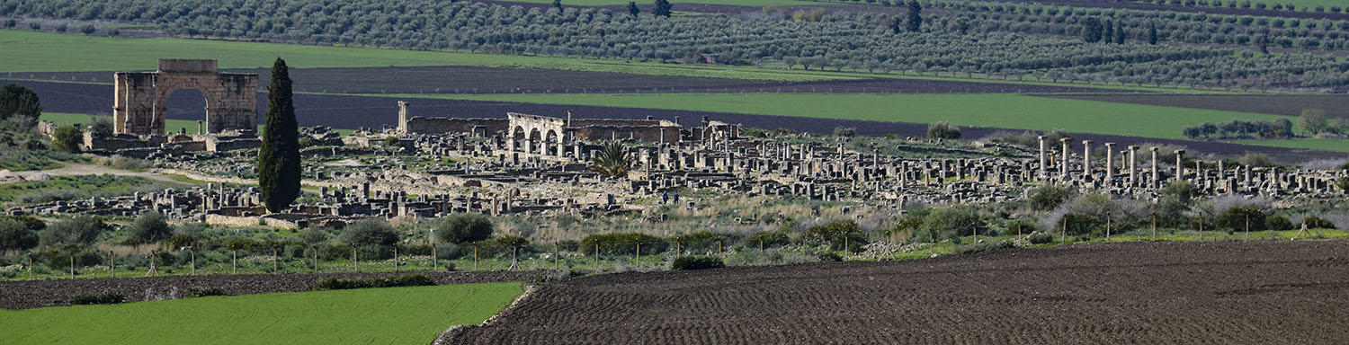 DSC_8562_1A2 - Volubilis Panorama