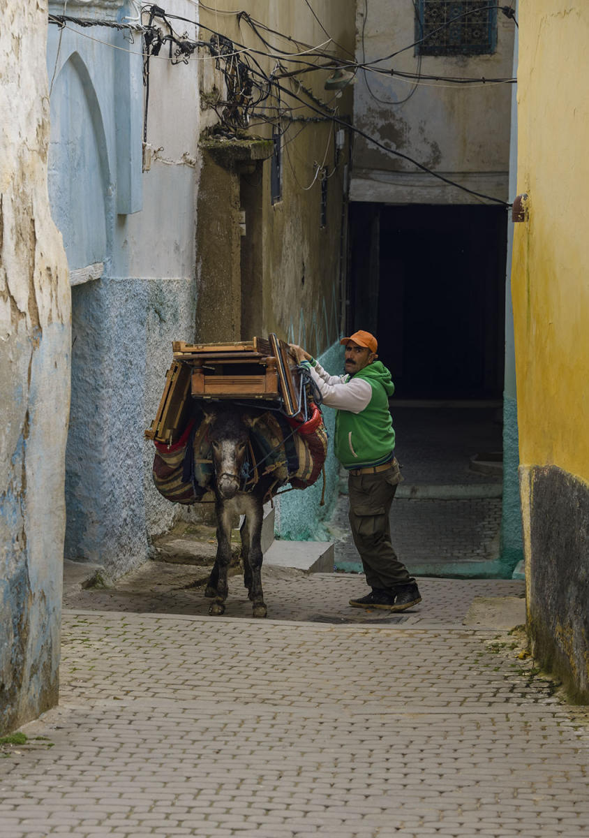 DSC_8638_1A1 - Local Transport (Moulay Idriss)