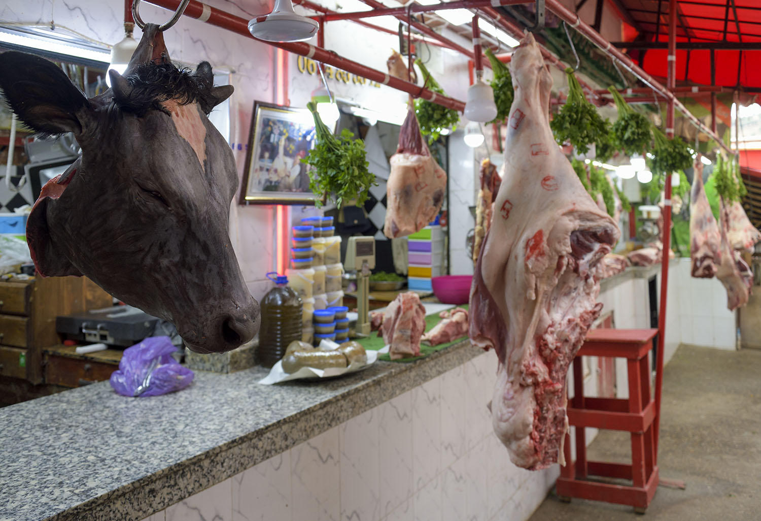 DSC_8667_1A2 - The Meat Market (Moulay Idriss)