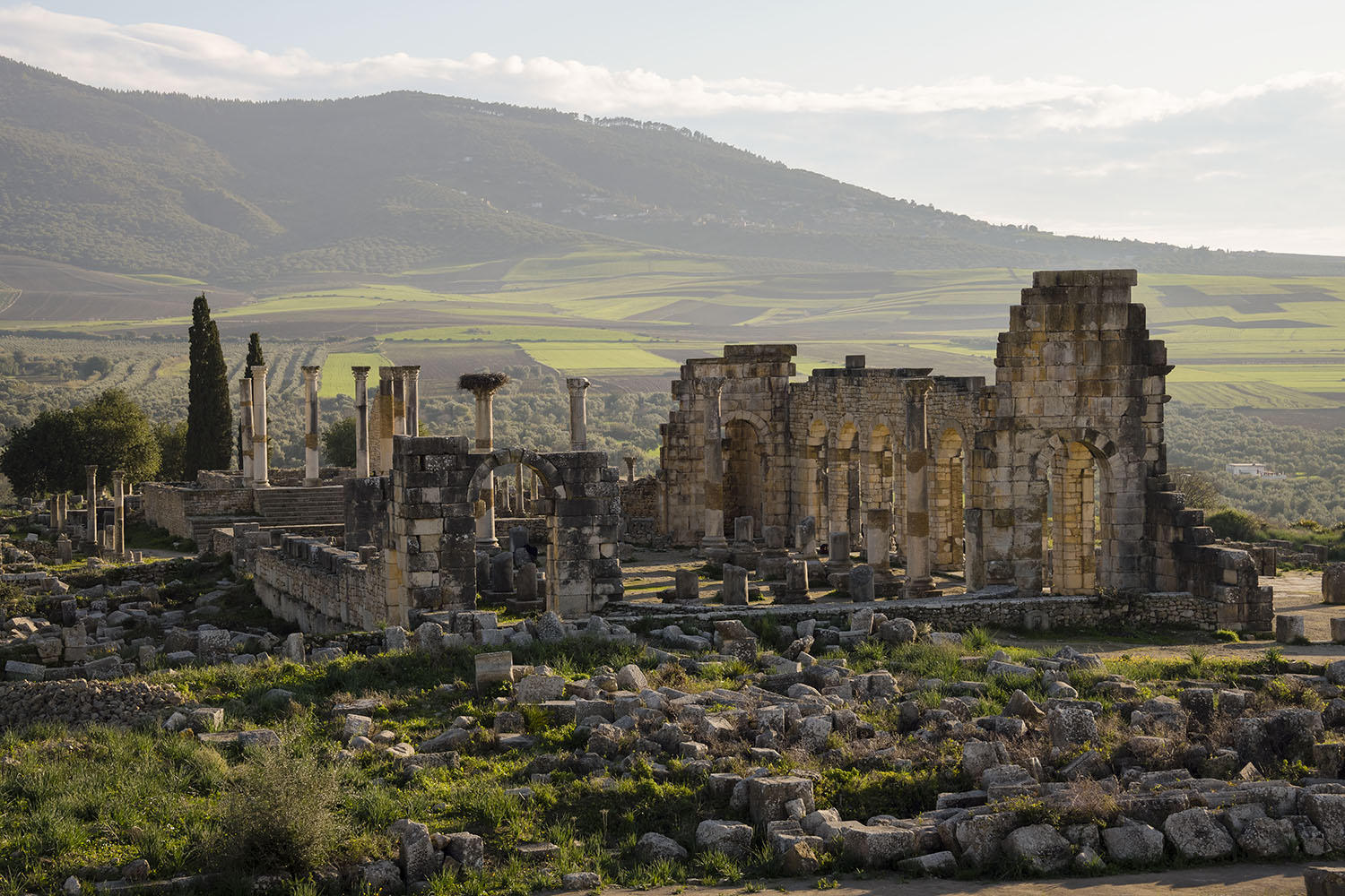 DSC_8727_1A2 - Basilica and Capitoline Temple (Volubilis)