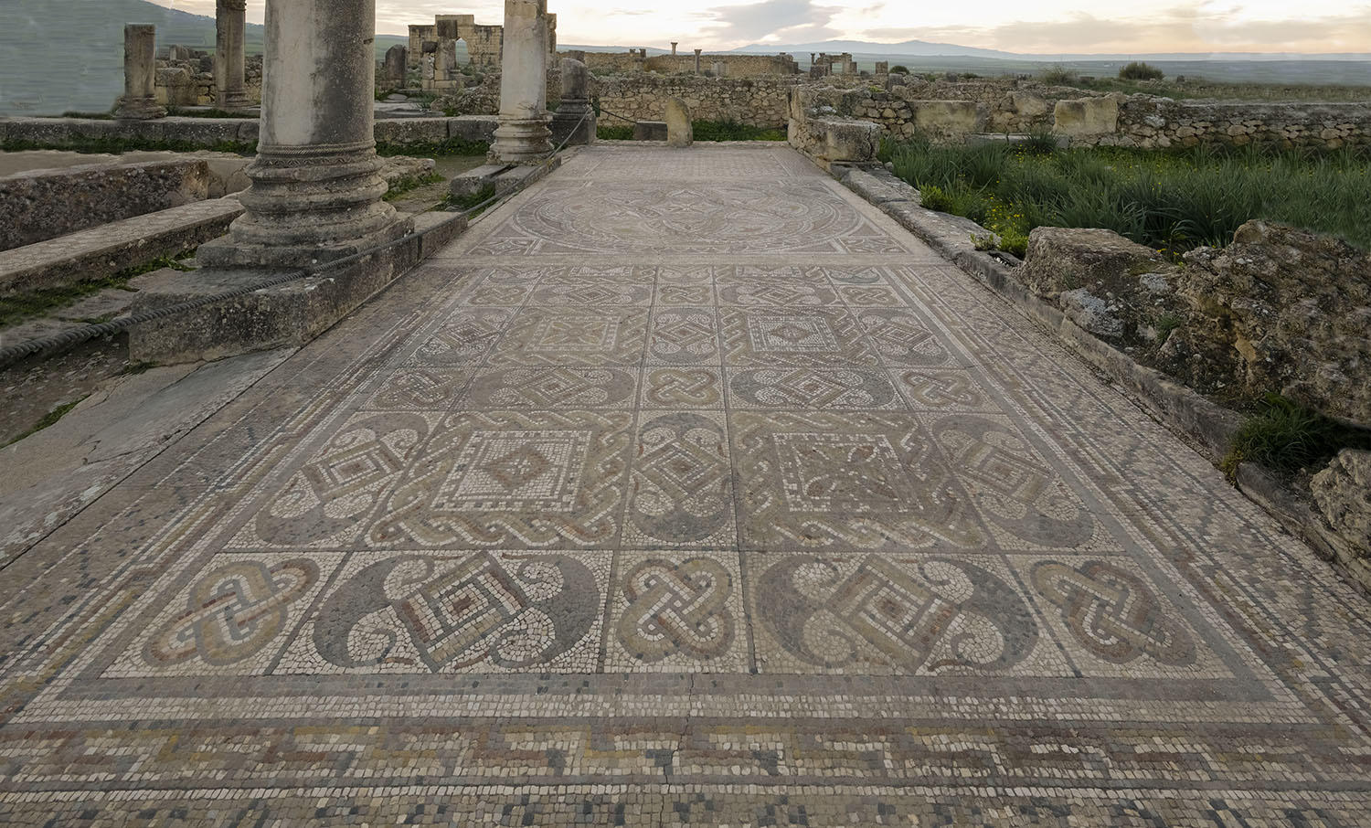 DSC_8818_1A2 - Mosaic (Volubilis)
