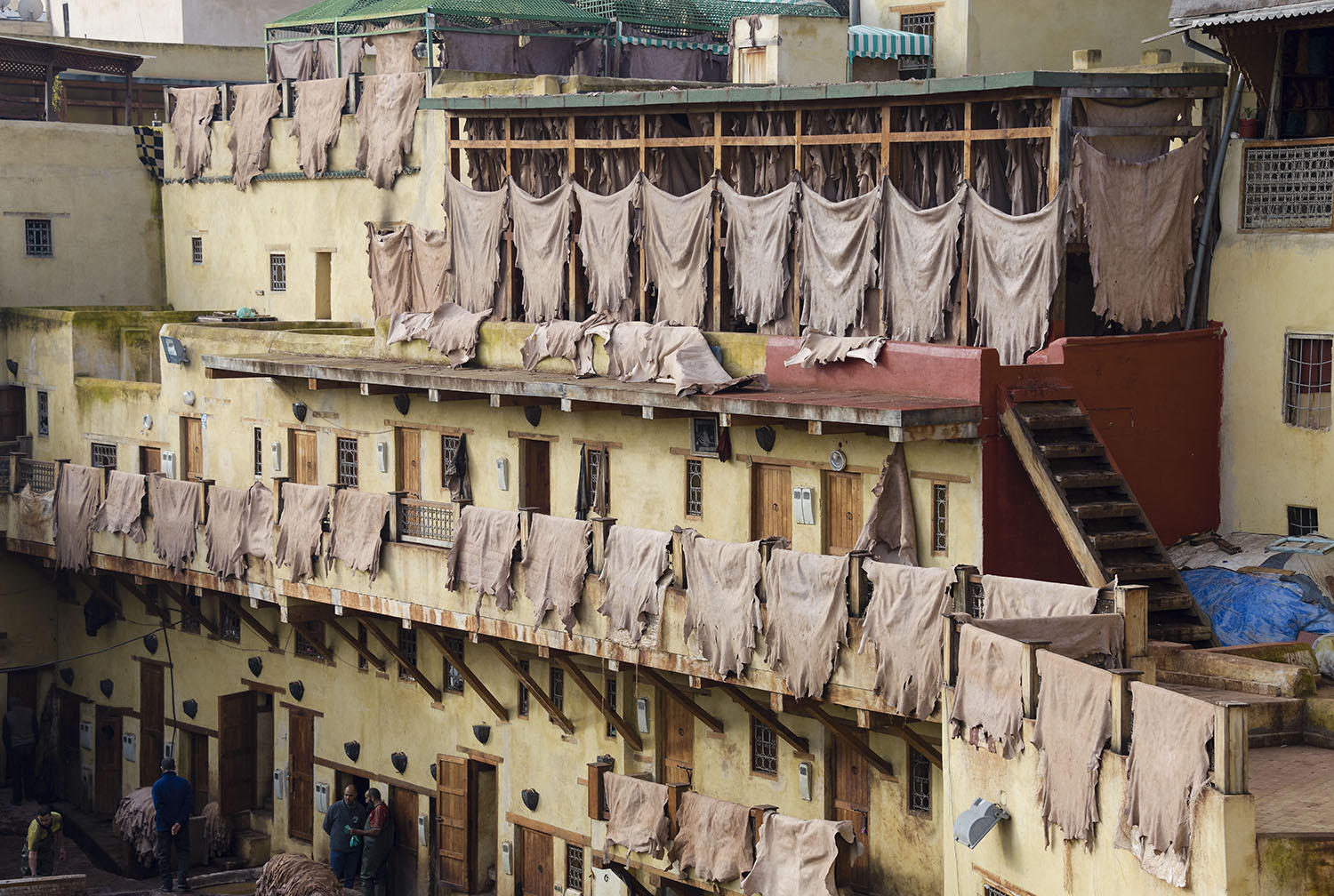 DSC_9507_1A2 - Leather Drying (Chouara Tannery - Fes)