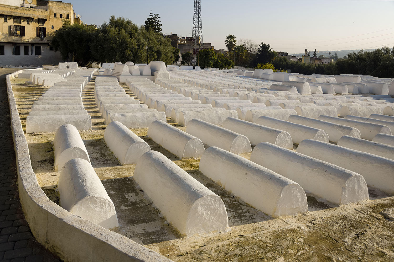 DSC_9721_1A2 - Aben Danan Synagogue Cemetery (Fes)