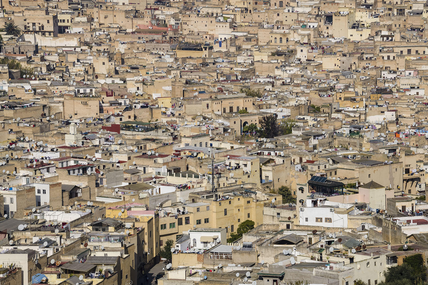 DSC_9866_1A1 - Rooftops (Fes)