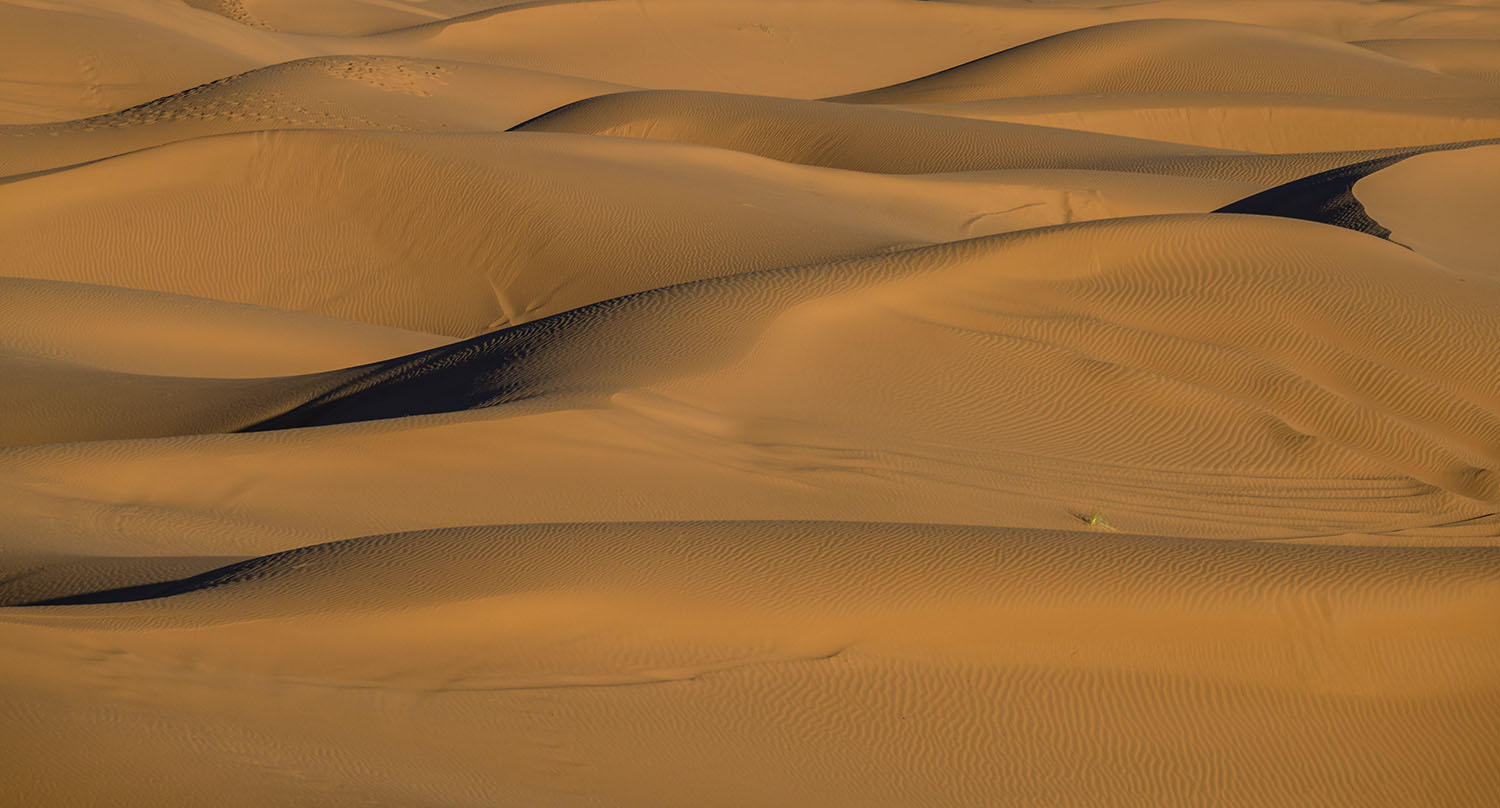DSC_10335_1A2 - Erg Chebbi Sand Dunes