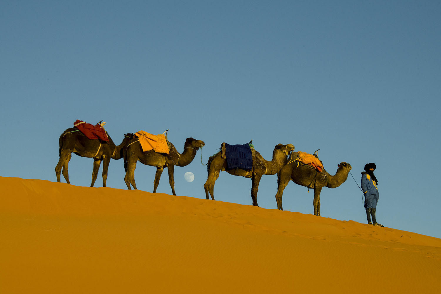 DSC_10407_1A2 - Camel Herder (Erg Chebbi)