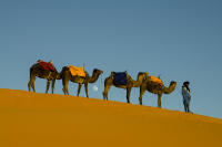 © 2024 Gerald E Bowers. All rights reserved.