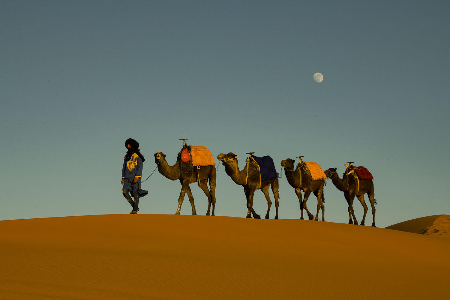 DSC_10511_1A2 - Moonrise on the Dunes (Erg Chebbi)