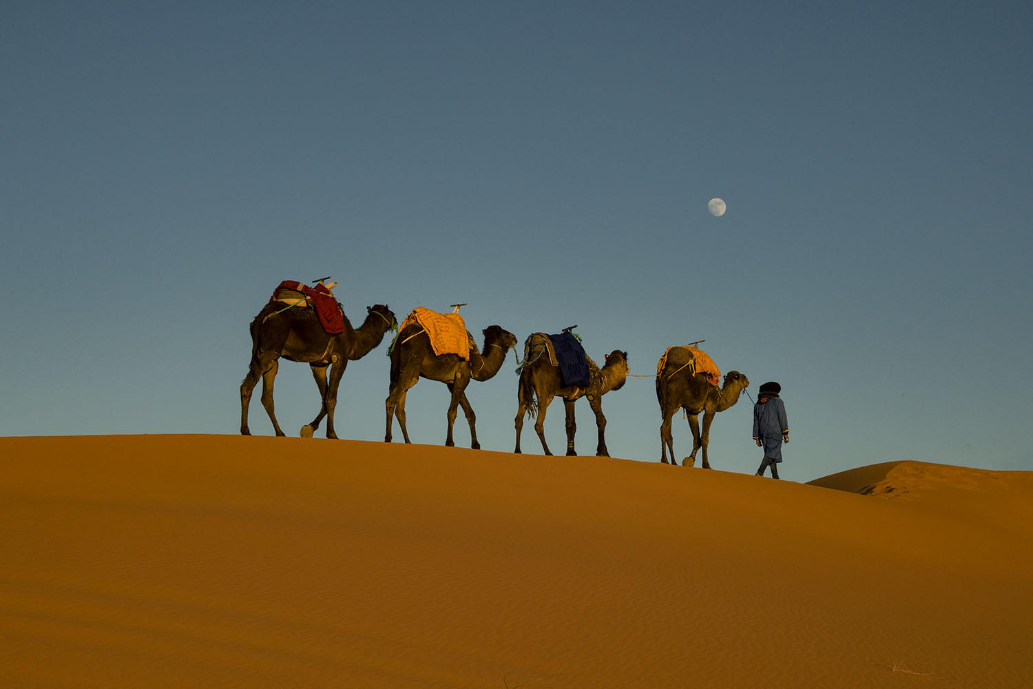 DSC_10566_1A2 - Evening on the Dunes (Erg Chebbi)