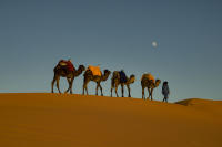 © 2024 Gerald E Bowers. All rights reserved.