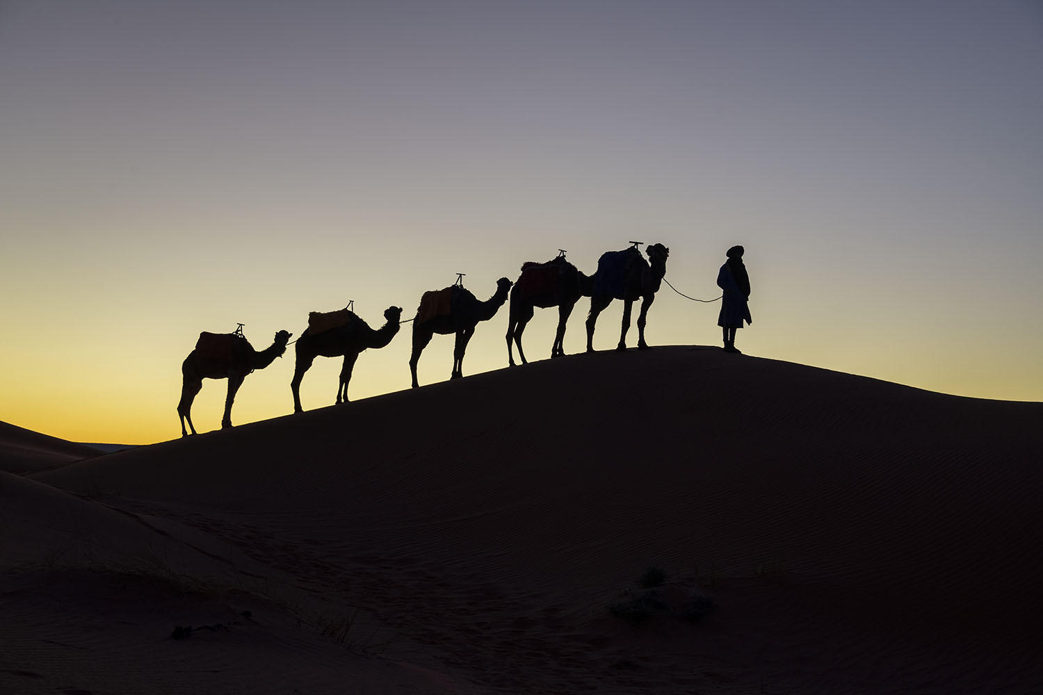 DSC_10954_1A2 - Early Morning on the Dunes (Erg Chebbi)