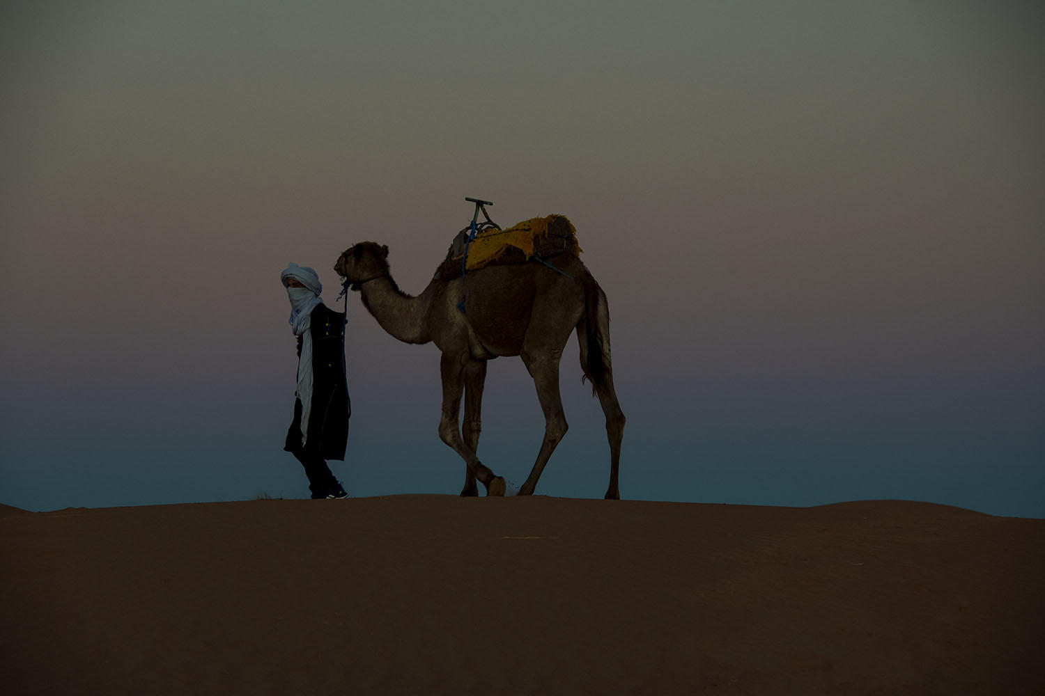 DSC_11018_1A2 - Morning on the Dunes (Erg Chebbi)