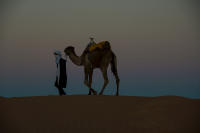 © 2024 Gerald E Bowers. All rights reserved.