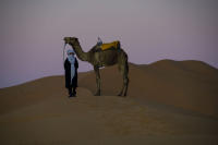 © 2024 Gerald E Bowers. All rights reserved.