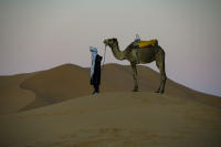 © 2024 Gerald E Bowers. All rights reserved.