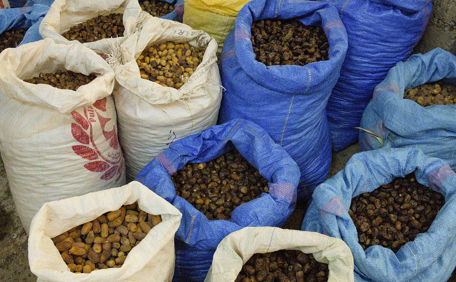 DSC_11644_1A2 - Dates (Merzouga)