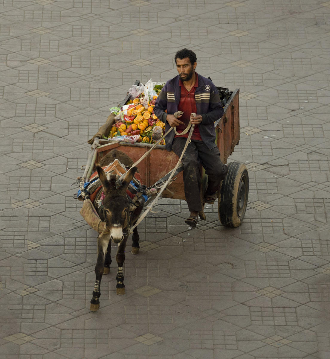 DSC_12615_1A3 - Fruit Peddler (Jemma el-Fna Market - Marrakesh)