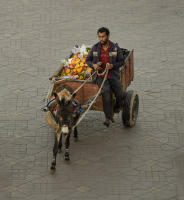 © 2024 Gerald E Bowers. All rights reserved.