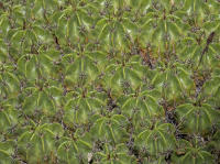 © 2024 Gerald E Bowers. All rights reserved.